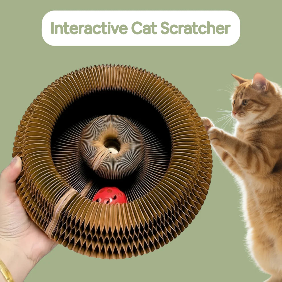 Interactive Cat Scratcher