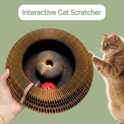 Interactive Cat Scratcher