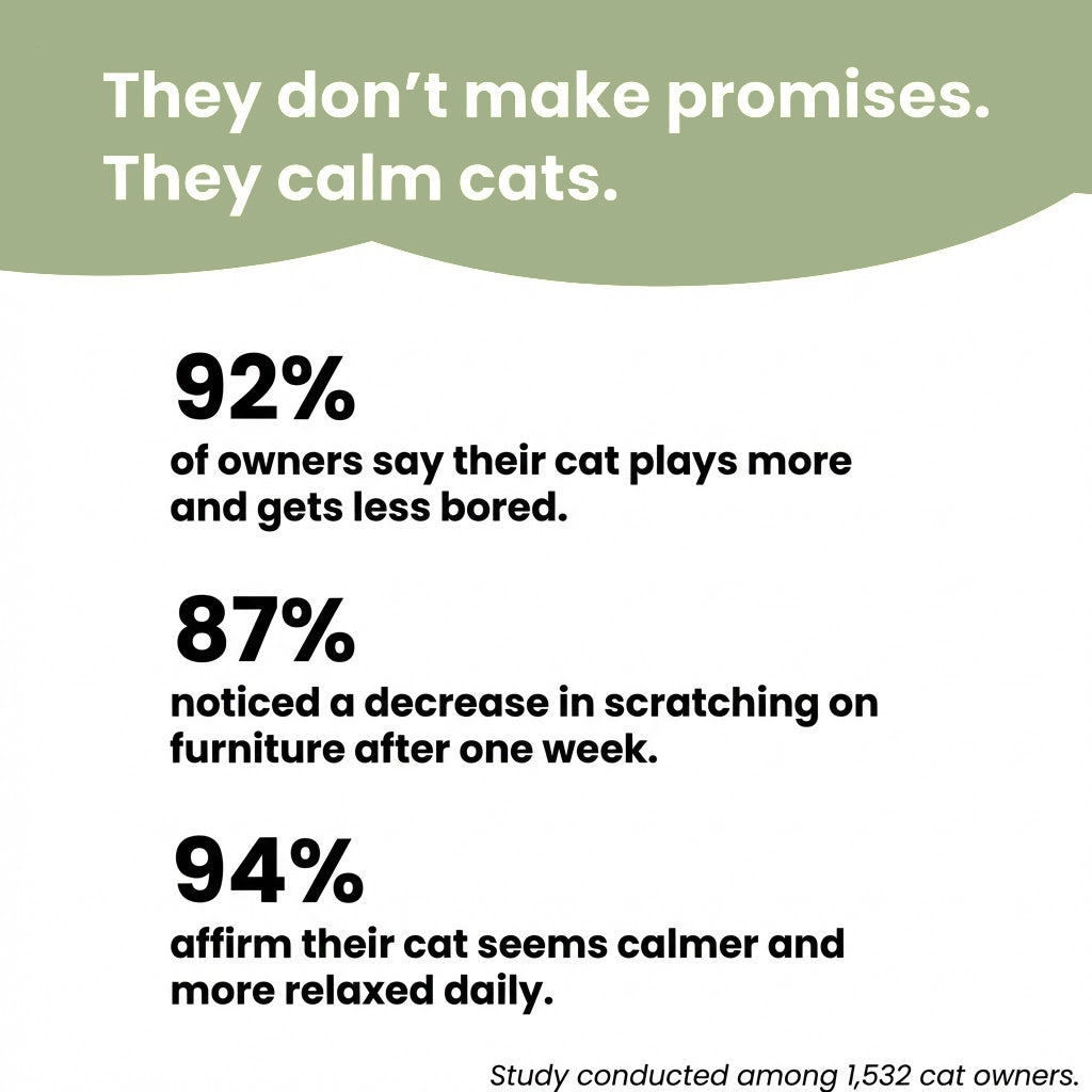 Interactive Cat Scratcher