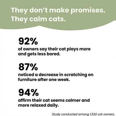 Interactive Cat Scratcher