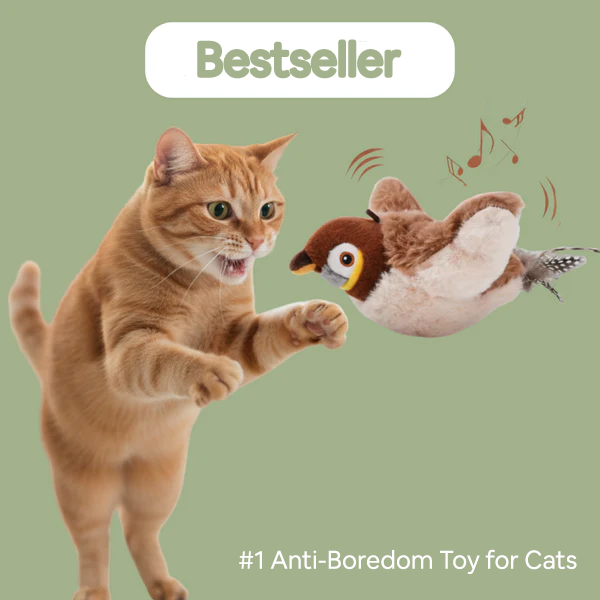 Smart Bird Toy