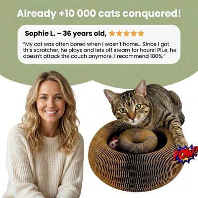 Interactive Cat Scratcher